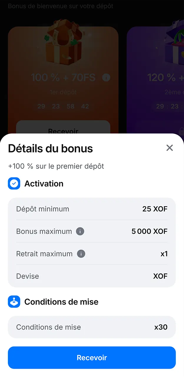 Veuillez lire attentivement les conditions de mise des bonus sur 1win.